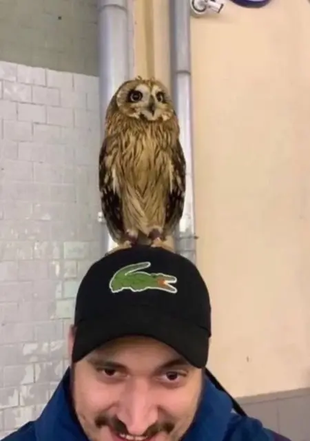 Я Дима, 20, знакомлюсь без обязательств в Орле